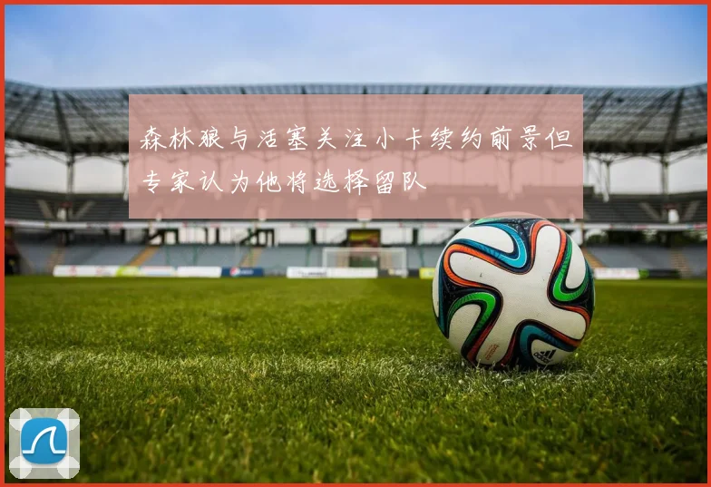 森林狼与活塞关注小卡续约前景但专家认为他将选择留队